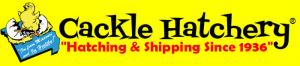Order Today and Get a Free Thermometer Sent with Your Order of Chicks Promo Codes